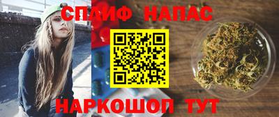 гашик Заводоуковск