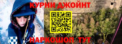 гашик Заводоуковск