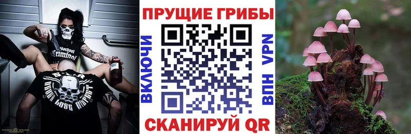 Галлюциногенные грибы мухоморы  Нижнеудинск 