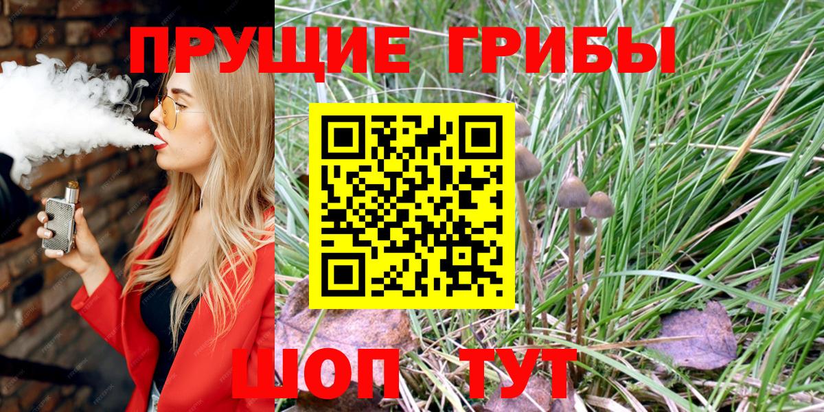 Галлюциногенные грибы GOLDEN TEACHER  Вход с VPN  Псилоцибиновые грибы мухоморы  Нижнеудинск 